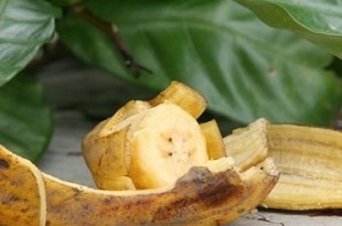 usare bucce di banana per cura giardino