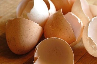 riciclo dei gusci d'uovo
